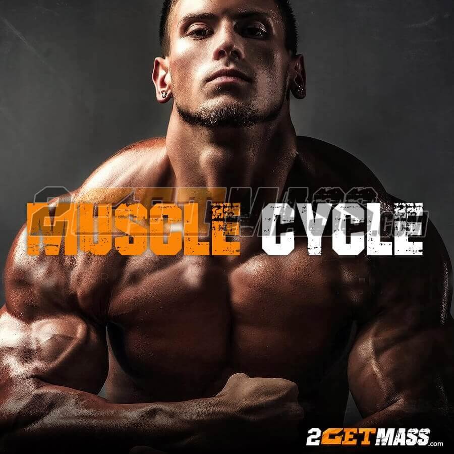 Why Some People Almost Always Make Money With anastrozole musculation