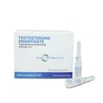 Euro-Pharmacies-Testosteron_Enanthate_-_250mg-ml_1ml-amp-1