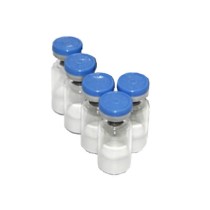Polvere di somatropina HGH - 5 x 10 UI - 500 UI - WL Generico